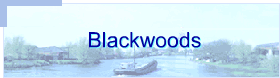 Blackwoods